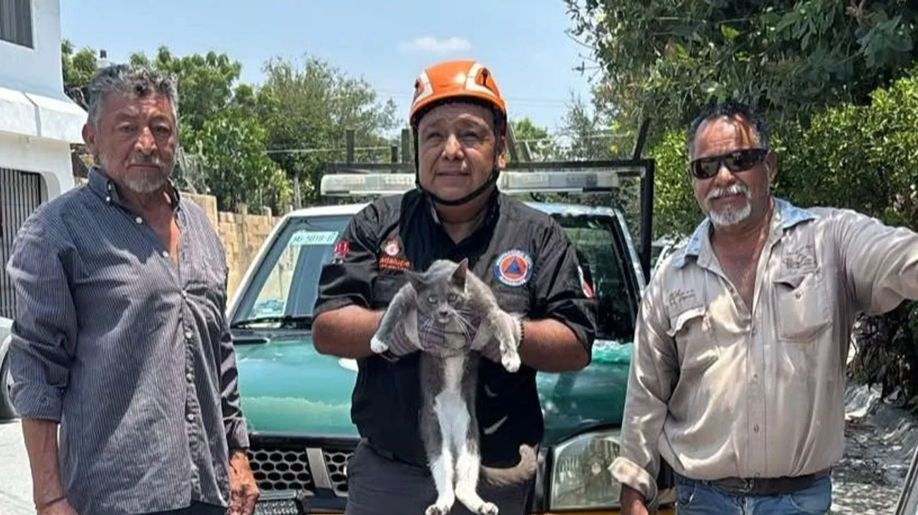 Protección Civil Guadalupe rescata a gatito atrapado en un poste