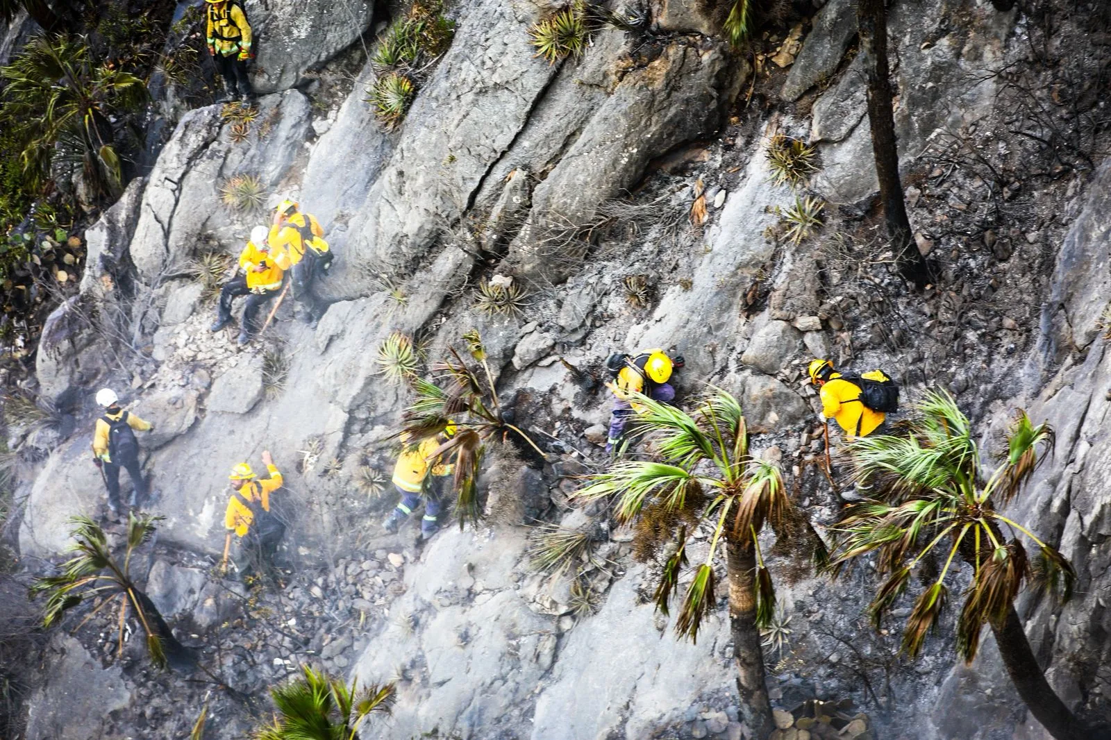 Extinguen por completo incendio forestal en el Cerro del Fraile de García
