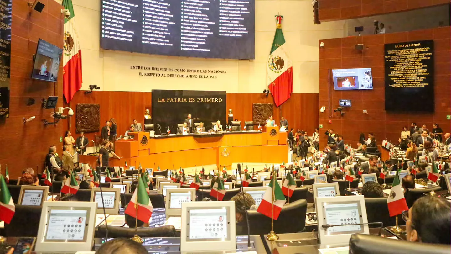Senado aprueba la Ley Antimemes, que avanza a la Cámara de Diputados
