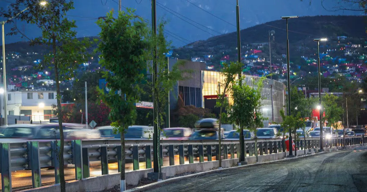 Nuevo León planta más de 1.1 millones de árboles con el programa Bosques Ciudadanos